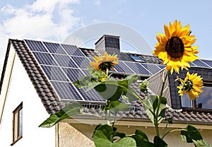 Solar cells on a roof with sun flowers