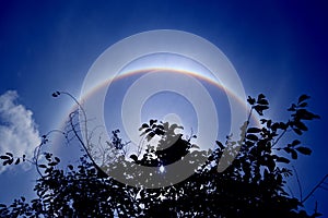 Solar corona, ring around the sun background