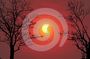 Solar eclipse in the fall season