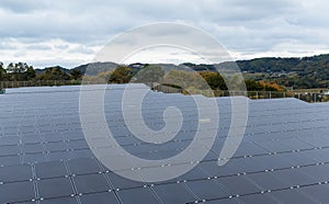 Solar energy panel plant