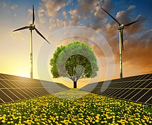 Solar energy panels, wind turbines and tree on dandelion field at sunset.