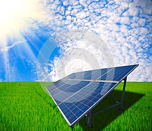 Solar energy for sustainable development of Green meadow