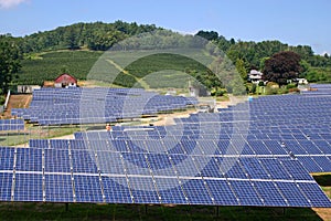 Solar Farm (h)