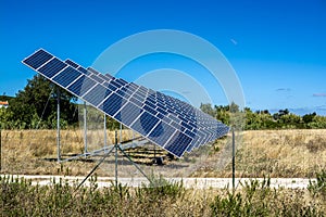 Solar field in summer