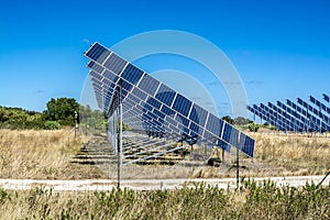 Solar field in summer