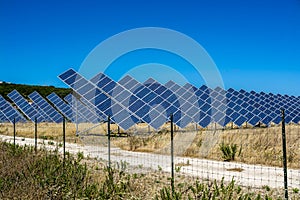 Solar field in summer