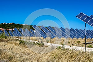 Solar field in summer