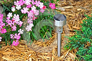 Solar Garden Light