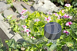 Solar garden light