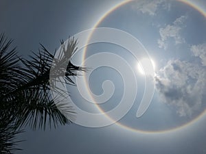 Solar halo
