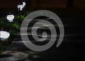 Solar lights near walkway near lawn photo