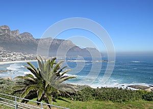 The solar ocean coast with palm trees photo