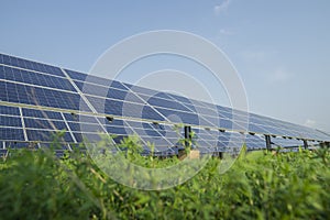 Solar panel, alternative electricity source, concept of sustainable resources, And this is a new system that can generate