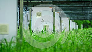 Solar panel, alternative electricity source, concept of sustainable resources, And this is String Combiner Box in solar plant photo