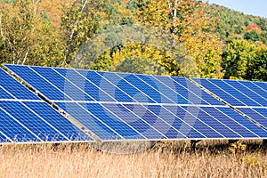 Solar panel for electricity generation in a field and autumn colours