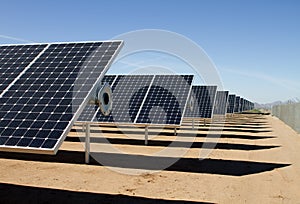 Solar panel energy collector farm