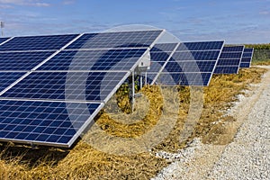 Solar Panel Farm. Corn Fields are Being Converted into Green Energy Areas Using Photovoltaic Cells VIII