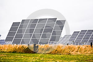 Solar Panel Farm in Country