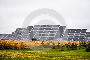 Solar Panel Farm in Country