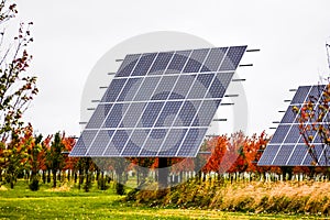 Solar Panel Farm in Country