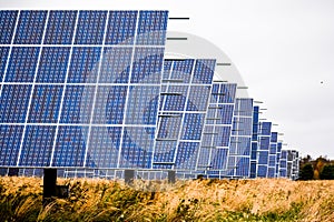 Solar Panel Farm in Country