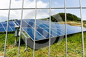 Solar panel farm with fence