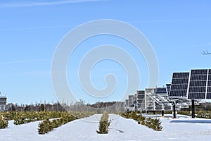 Solar Panel Farm, Natural Energy, Winter