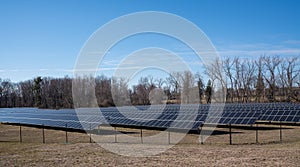 Solar panel farm in winter