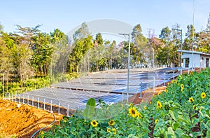 Solar Panel field in Chiang Mai, Thailand