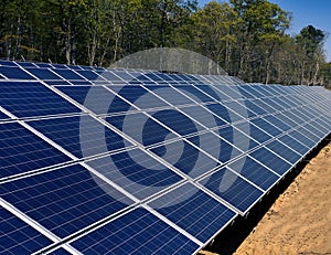 Solar panel grid with trees in background