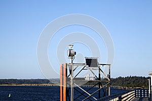 Solar Panel Navigational Aid Dock Seagull Blue Sky