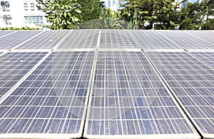 Solar panel plants