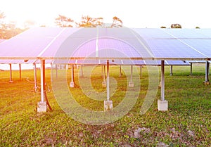 Solar panel produces renewable energy,friendly energy from the