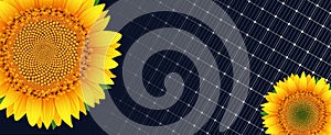 Solar panel and sunflower background