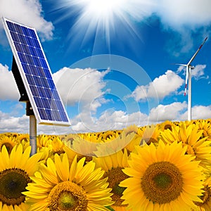 Solar panel and wind turbine photo