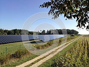 Solar panels.alternative energy.solar field.