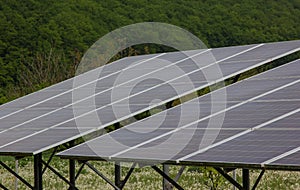 Solar panels on a background of trees. Green grass.