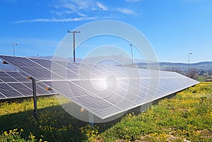 solar panels electricity sustainability energy sky sunny day sun