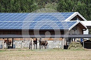 Solar panels farm photo