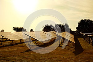 Solar panels farm in a field in the countryside