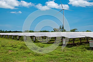 Solar panels in solar farms with wind turbine blue sky background.