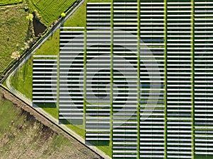 Solar panels on field in summer, aerial drone view