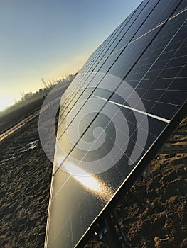 Solar panels in a field with sunray flare, evening light