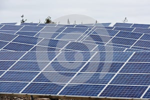Solar panels filling the landscape at a new Solar Farm