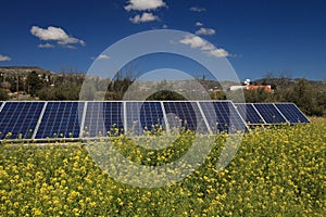 Solar panels on a flower meadow