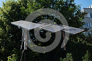 Solar panels in green foliage of trees.