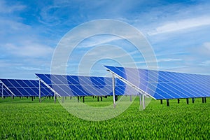 Solar panels in green grass against blue sky: green technology concept