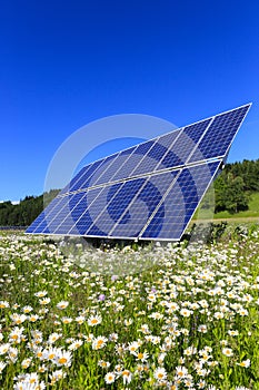 Solar Panels In The Green