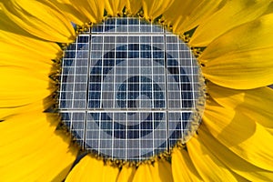 Solar Panels Inside of a Sunflower