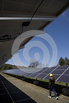 Solar panels inspected by worker